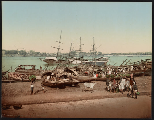 A picture of Calcutta. Hughlee boats