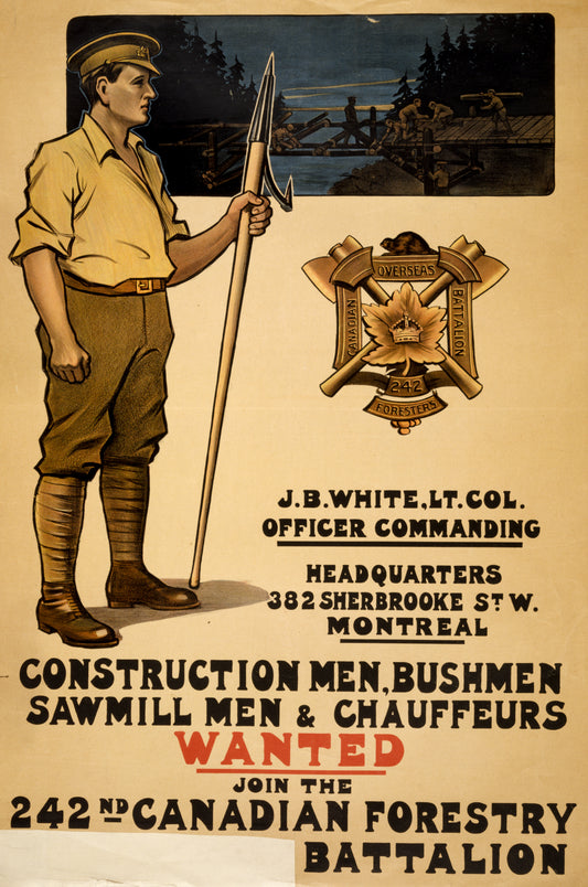 A picture of Construction men, bushmen, sawmill men & chauffeurs wanted. Join the 242nd Canadian Forestry section of text cut away: Overseas? Battalion