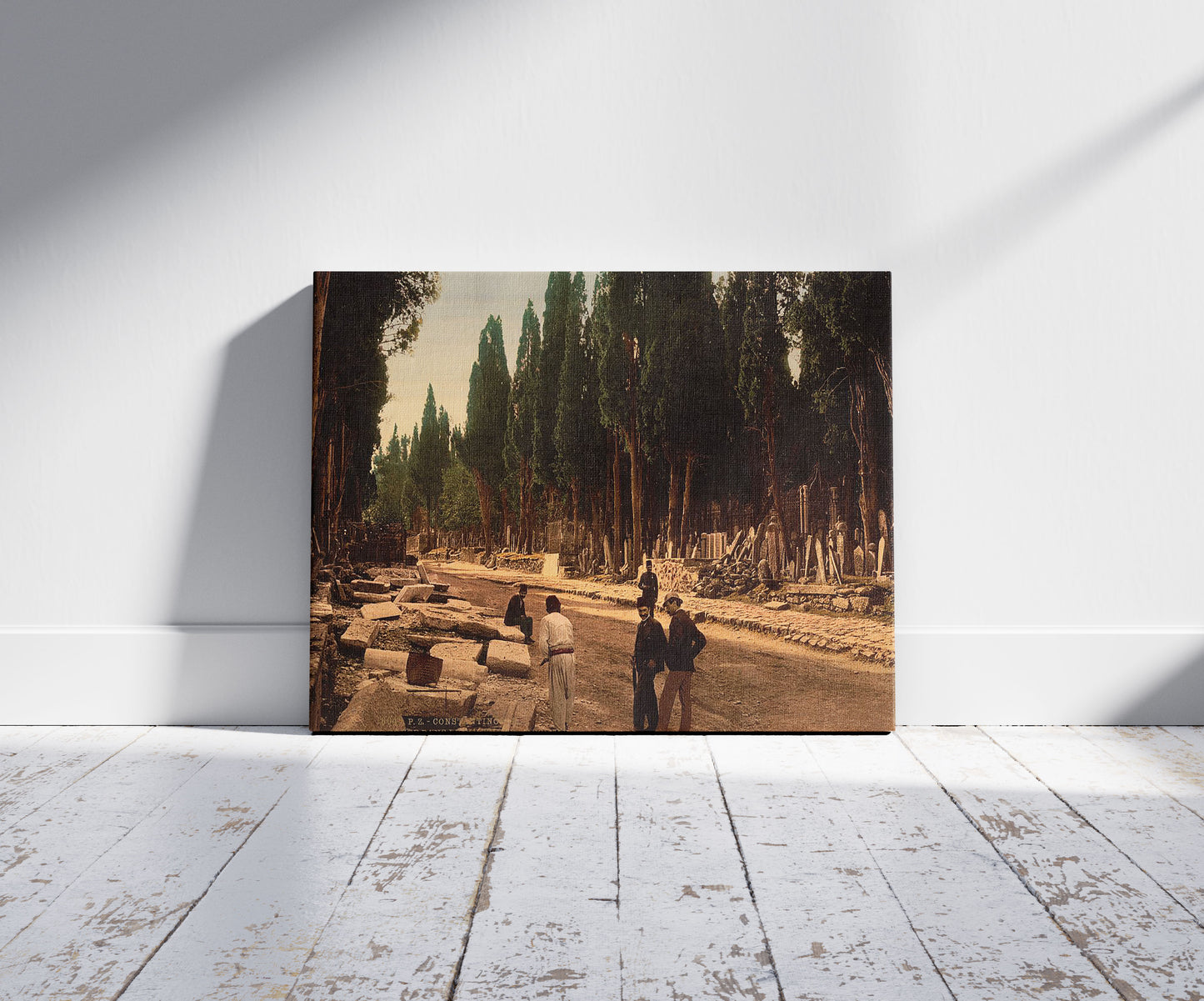 A picture of Cypresses and road leading to the cemetery, Scutari, Constantinople, Turkey