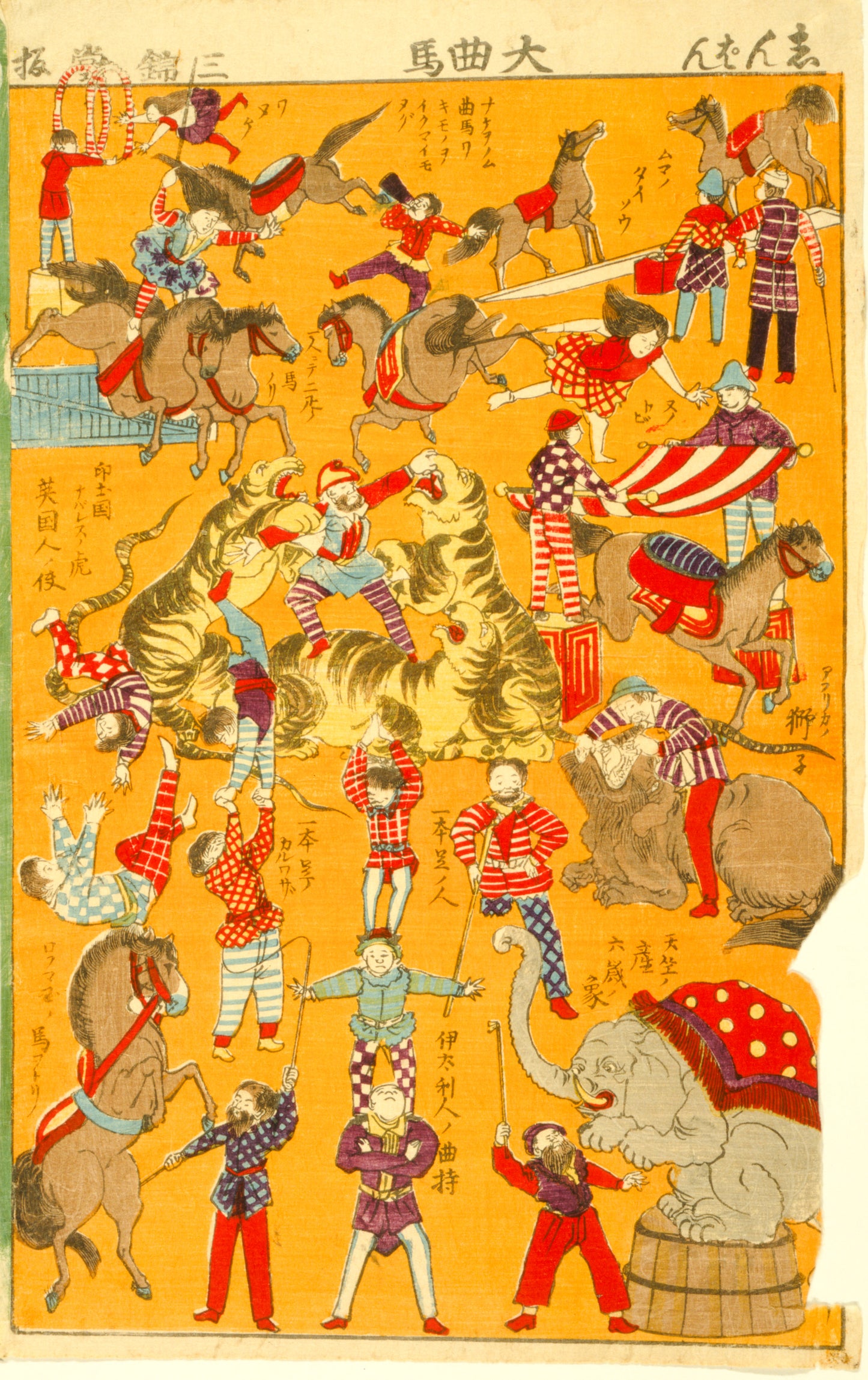 A picture of Daikyokuba