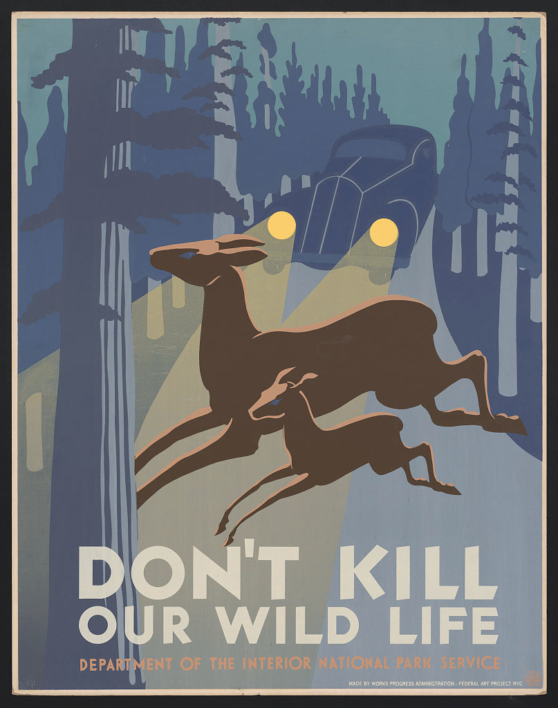 A picture of Don't kill our wild life