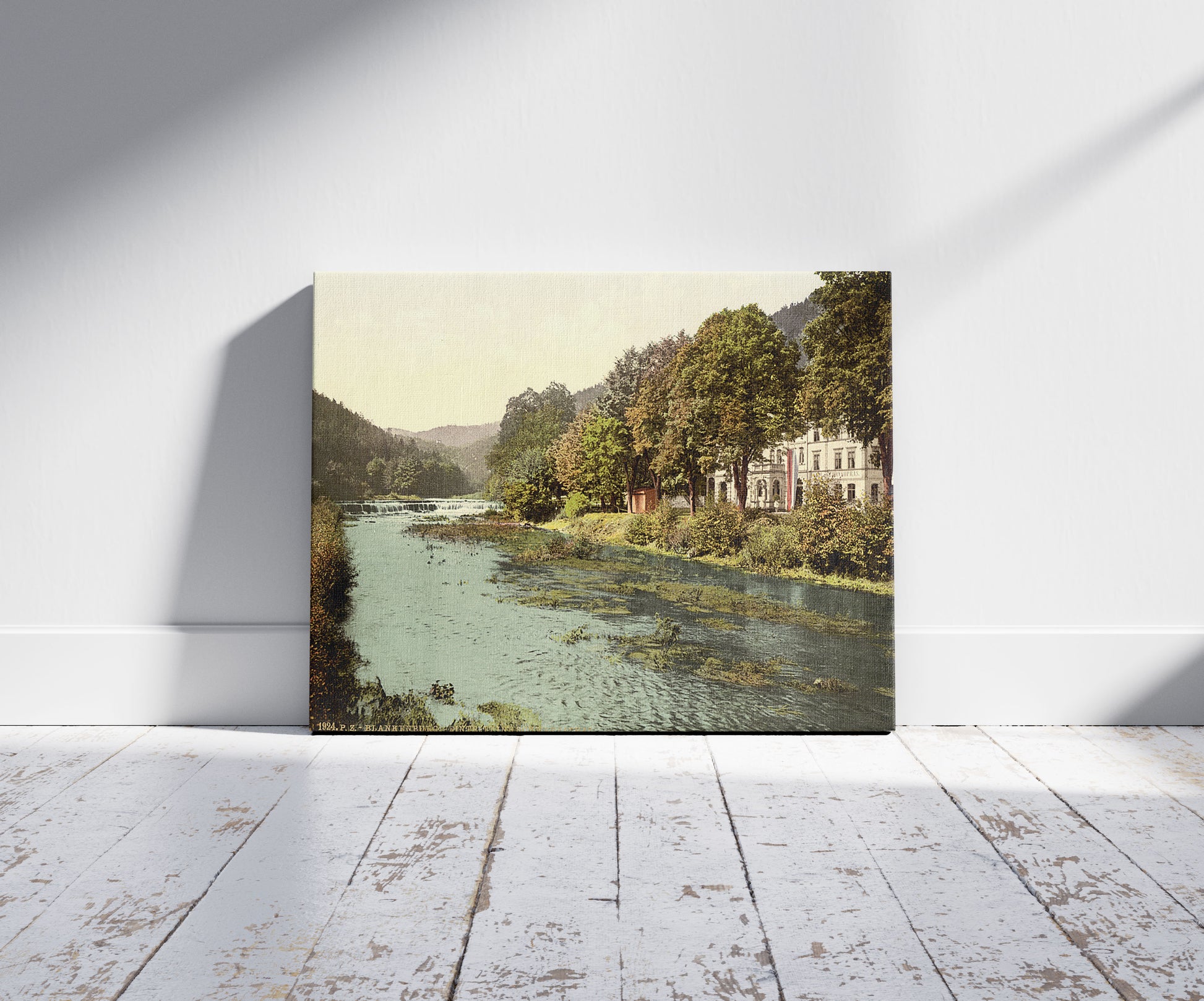 A picture of Entrance to Schwarza Valley, Blankenburg, Thuringia, Germany, a mockup of the print leaning against a wall