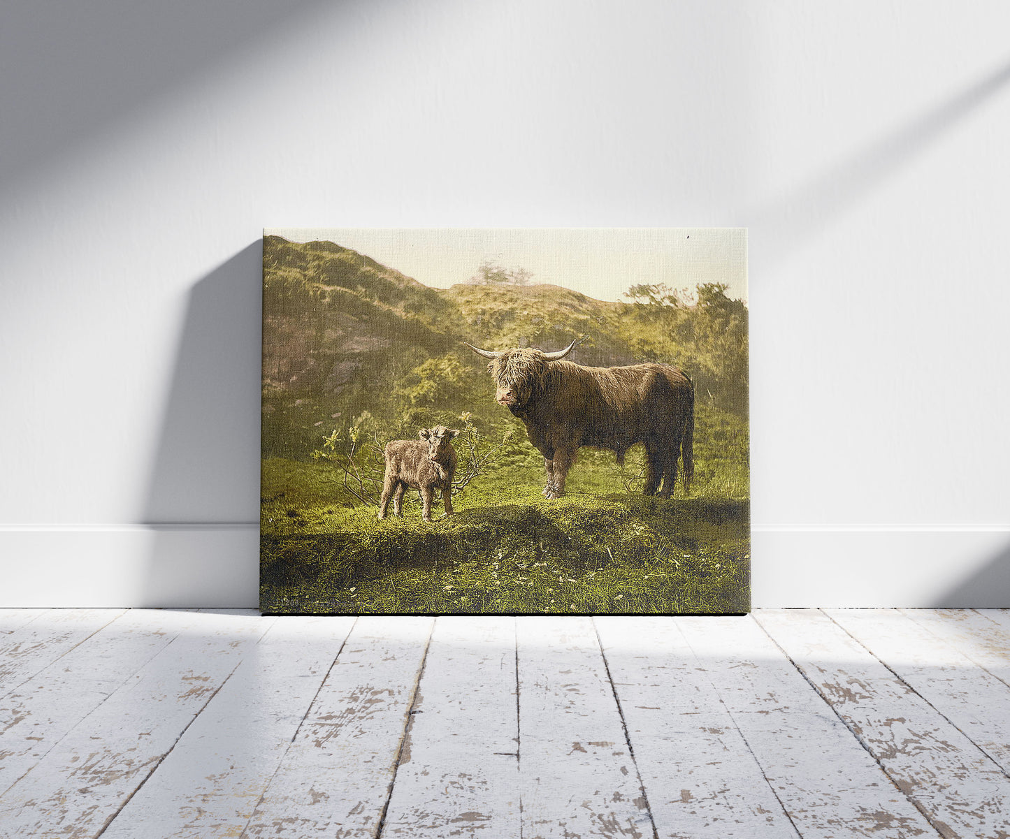 A picture of Father and son (highland cattle), a mockup of the print leaning against a wall