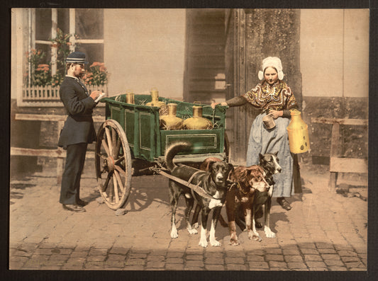 A picture of Flemish milk women, Antwerp, Belgium