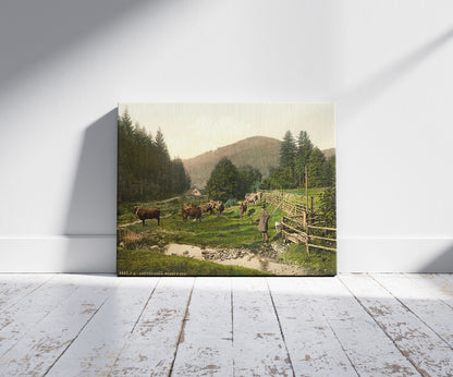 A picture of Forest House, Lauterberg (i.e. Bad Lauterberg im Harz), Hartz, Germany, a mockup of the print leaning against a wall
