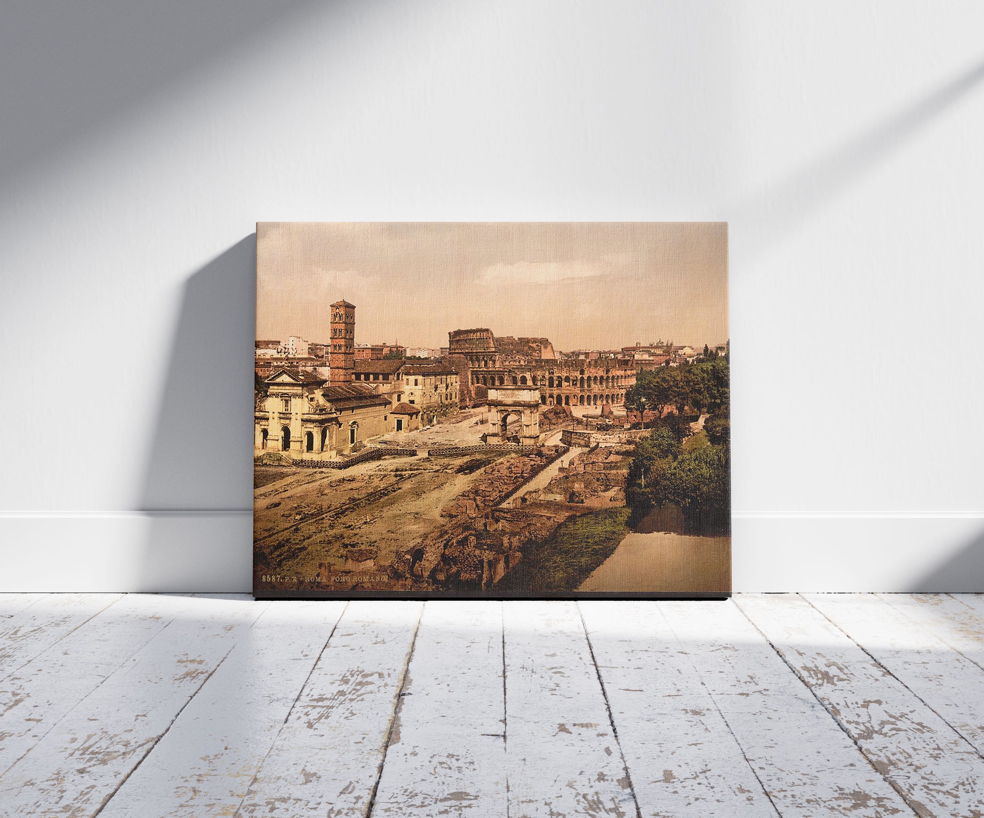 A picture of Forum Romanum from the Palatine, Rome, Italy