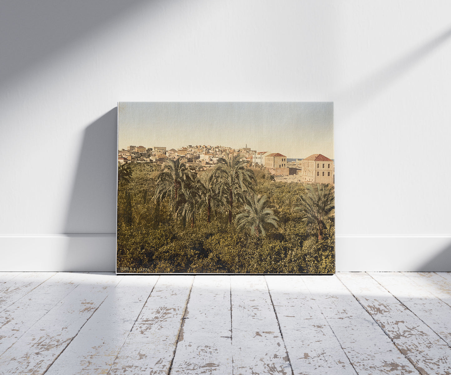 A picture of From the garden, Jaffa, Holy Land, (i.e. Israel), a mockup of the print leaning against a wall