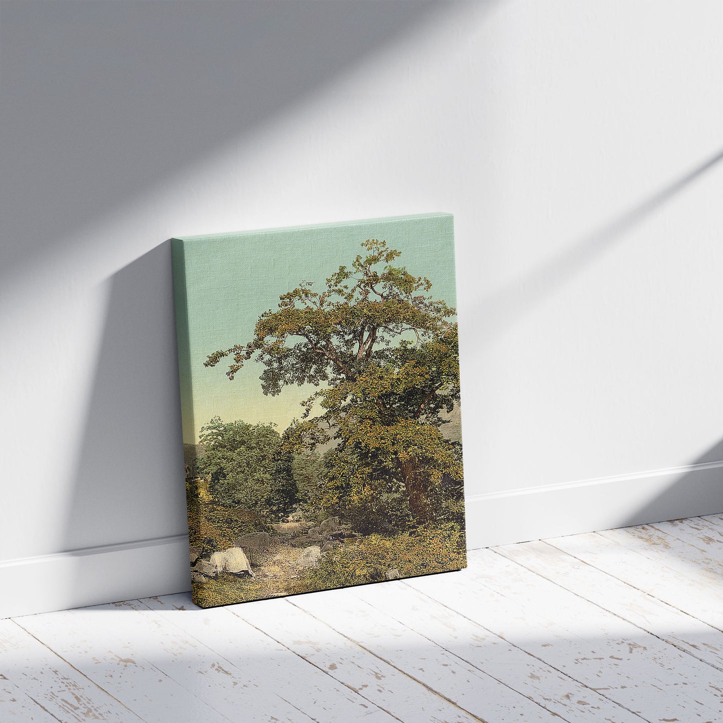 A picture of Giornico, old chestnut tree near the railway, St. Gotthard Railway, Switzerland, a mockup of the print leaning against a wall