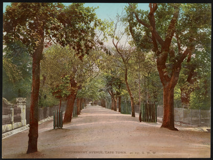 A picture of Government Avenue, Cape Town