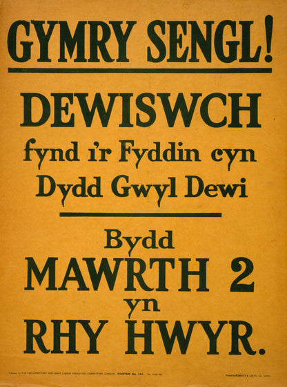 A picture of Gymry sengl! Dewiswch fynd i'r fyddin cyn dydd gwyl dewi. Bydd mawrth 2 yn rhy hwyr