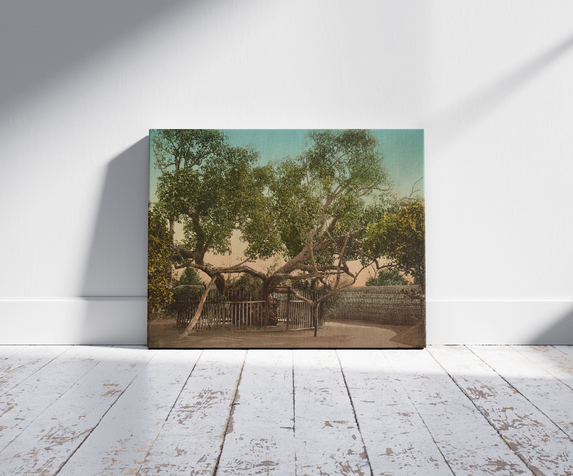 A picture of Heliopolis, arbre de la Sainte Mère, a mockup of the print leaning against a wall