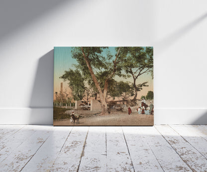 A picture of Heliopolis, Sakkieh et obelisque, a mockup of the print leaning against a wall