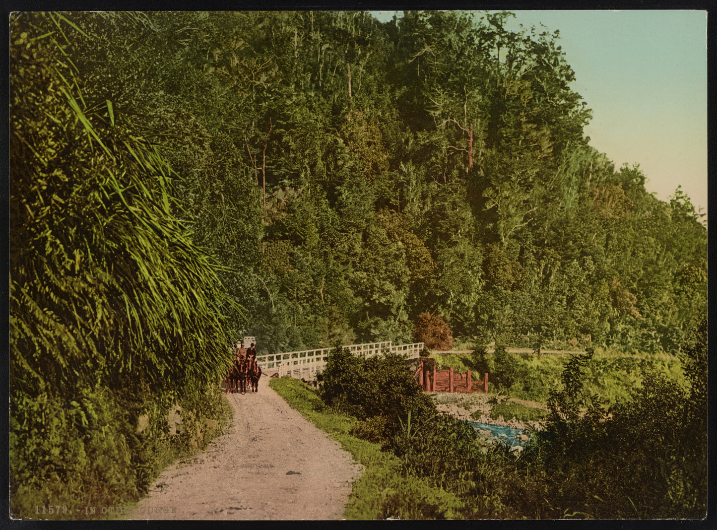 A picture of In Otira Gorge