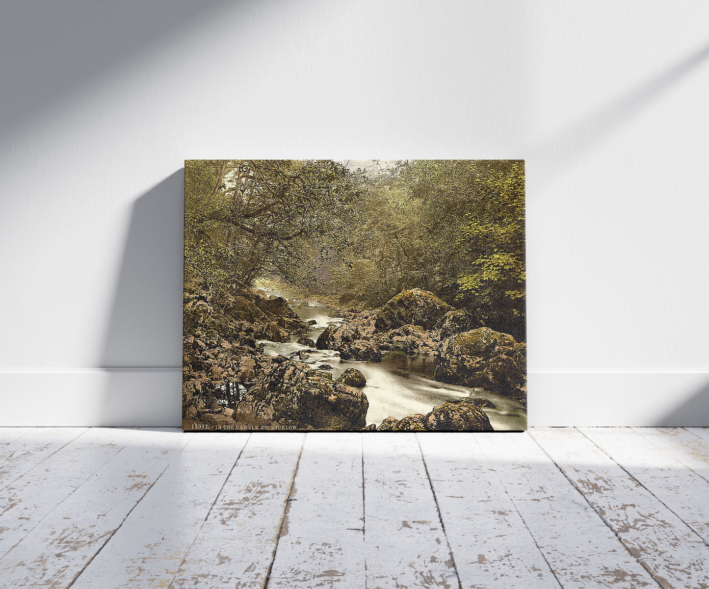 A picture of In the Dargle. County Wicklow, Ireland, a mockup of the print leaning against a wall