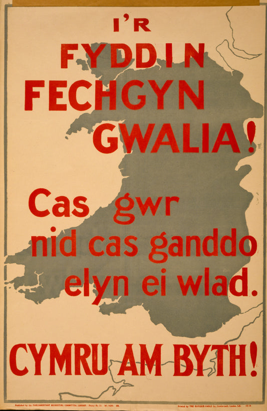 A picture of I'r fyddin fechgyn gwalia! Cas gwr nid cas ganddo elyn ei wlad. Cymru am byth!