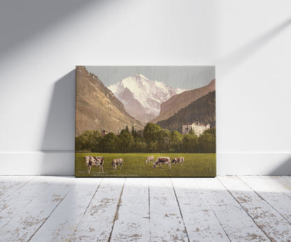 A picture of Jungfrau and Jungfraublick Hotel, Bernese Hotel, Switzerland