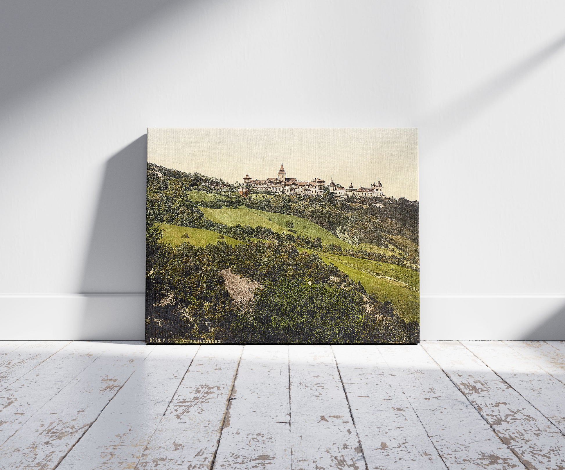 A picture of Kahlenberg, Vienna, Austro-Hungary, a mockup of the print leaning against a wall