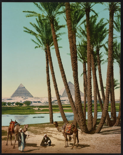 A picture of Kairo, palmiers, Bedouins et pyramides