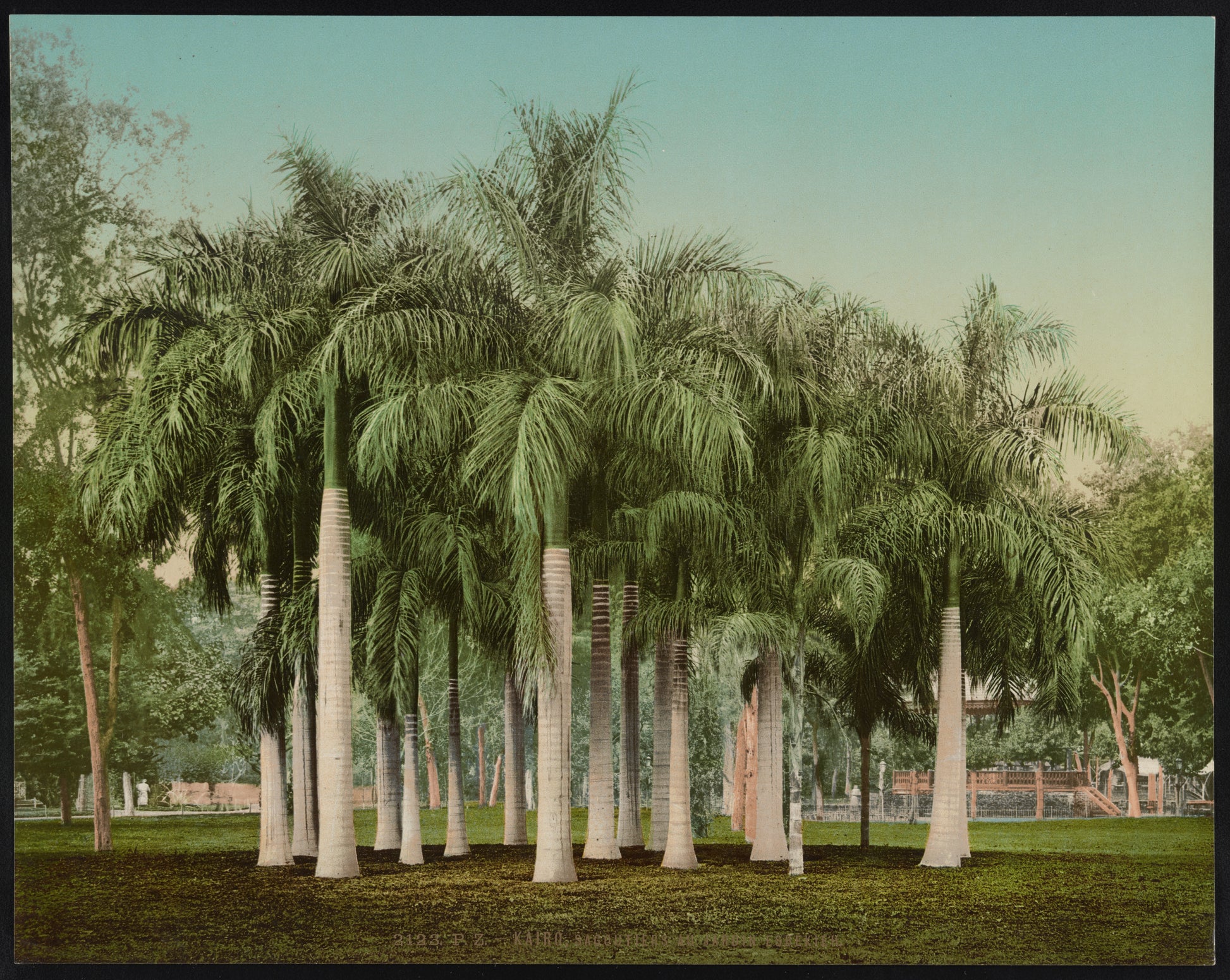 A picture of Kairo, Sagoutiers au Jardin Esbekieh