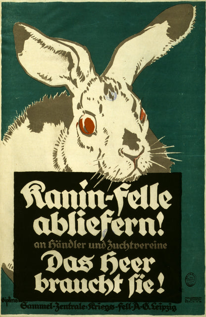 A picture of Kanin-felle abliefern! an Händler und Zuchtvereine. Das Heer braucht sie!
