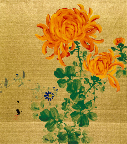 A picture of Kiku