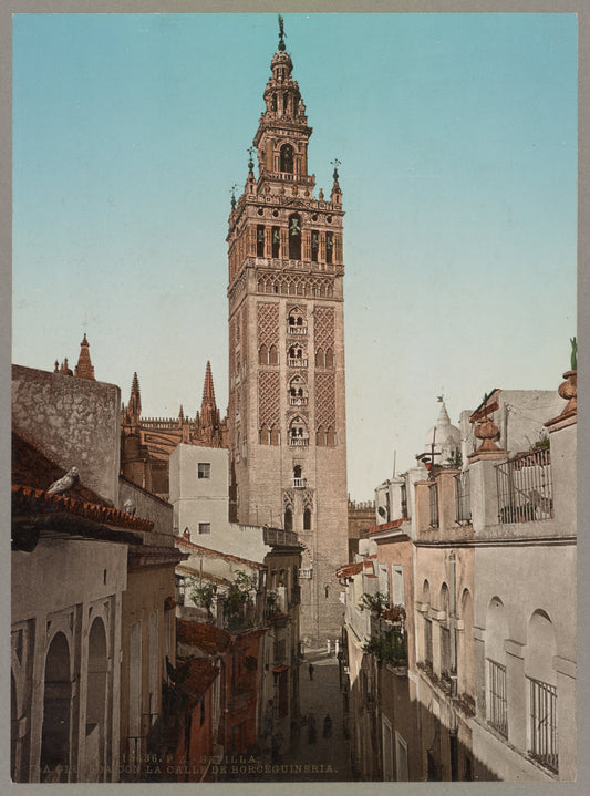 A picture of La Giralda con la calle de Borceguineria, Sevilla