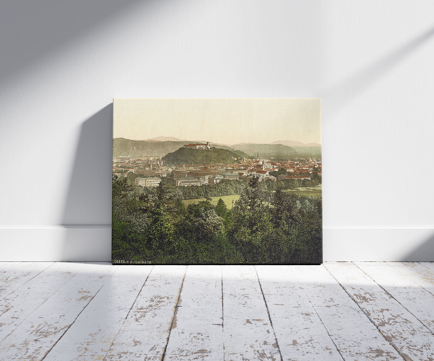 A picture of Laibach, general view from the Tivoli Castle, Carniola, Austro-Hungary