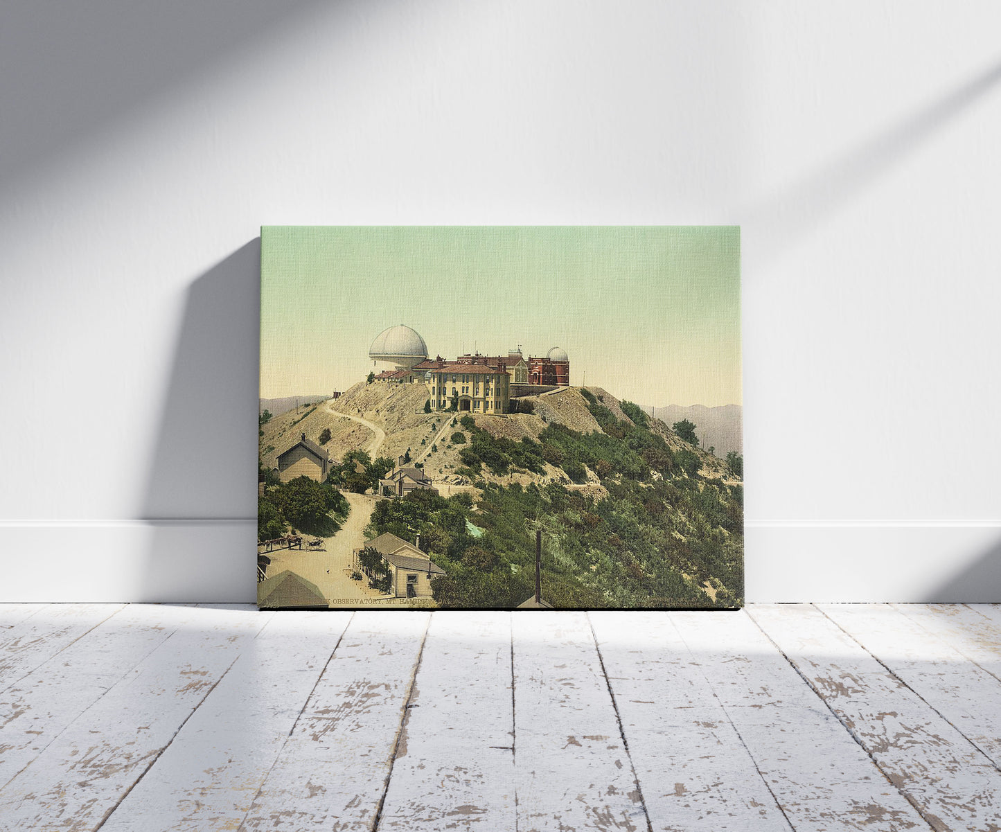 A picture of Lick Observatory, Mt. Hamilton, Cal.