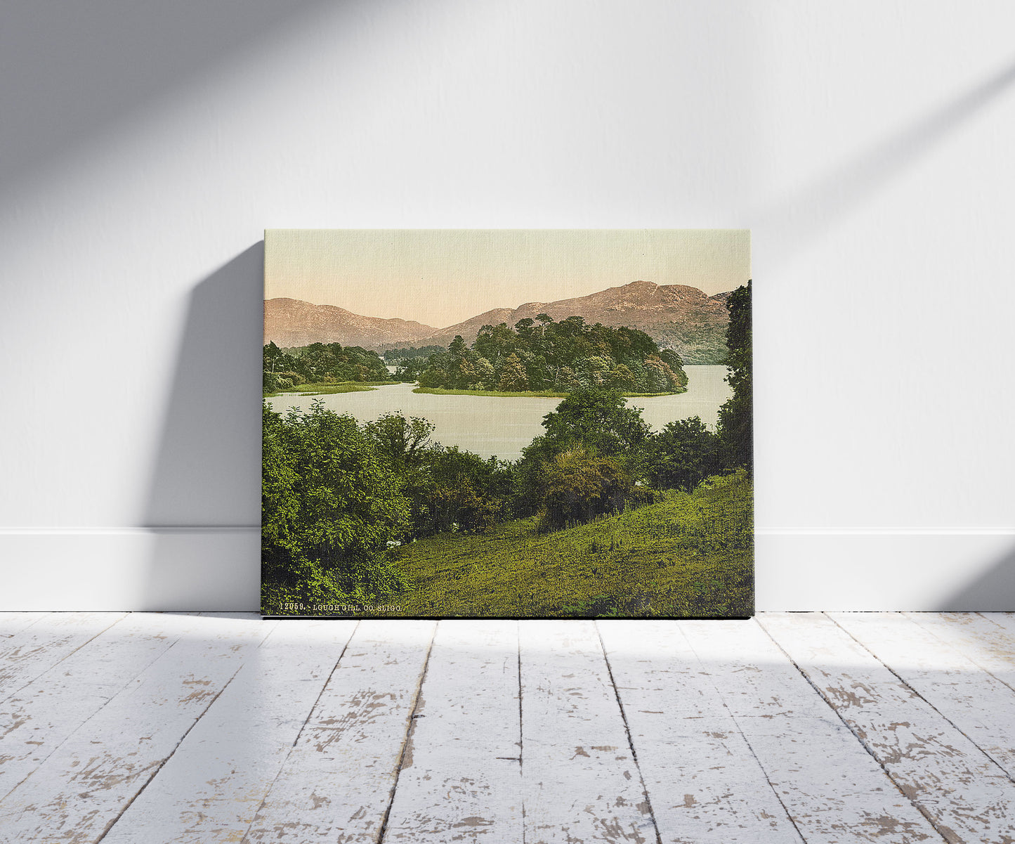 A picture of Lough Gill. County Sligo, Ireland