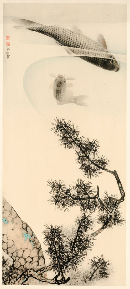 A picture of Matsu no shita no koi
