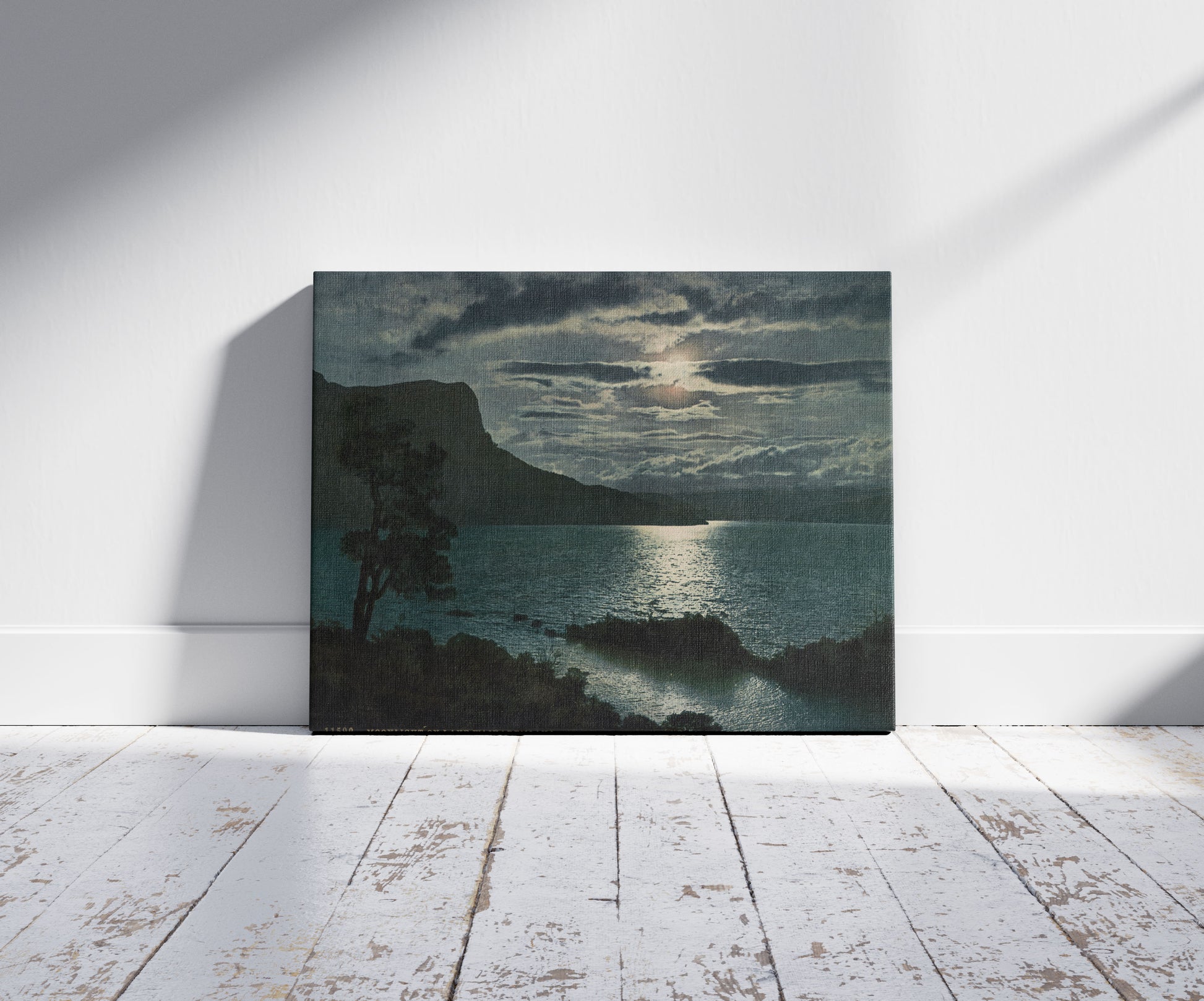 A picture of Moonlight on Lake Waikaremoana