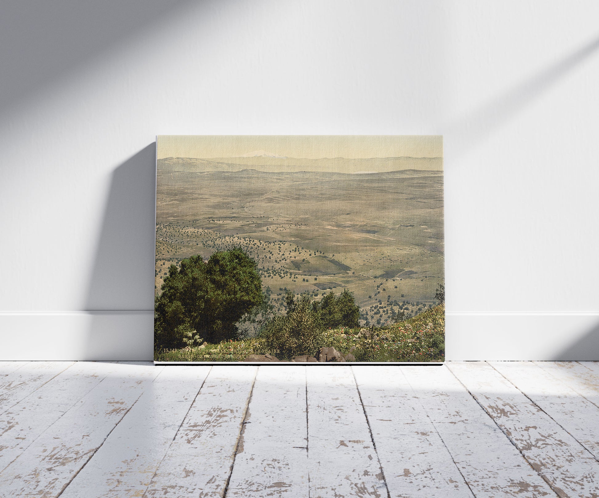 A picture of Mt. Hermon and Plain of Tabor, Holy Land, (i.e., Lebanon and Syria), a mockup of the print leaning against a wall