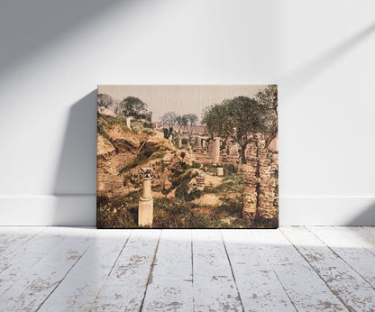 A picture of Museum garden, II, Carthage, Tunisia, a mockup of the print leaning against a wall