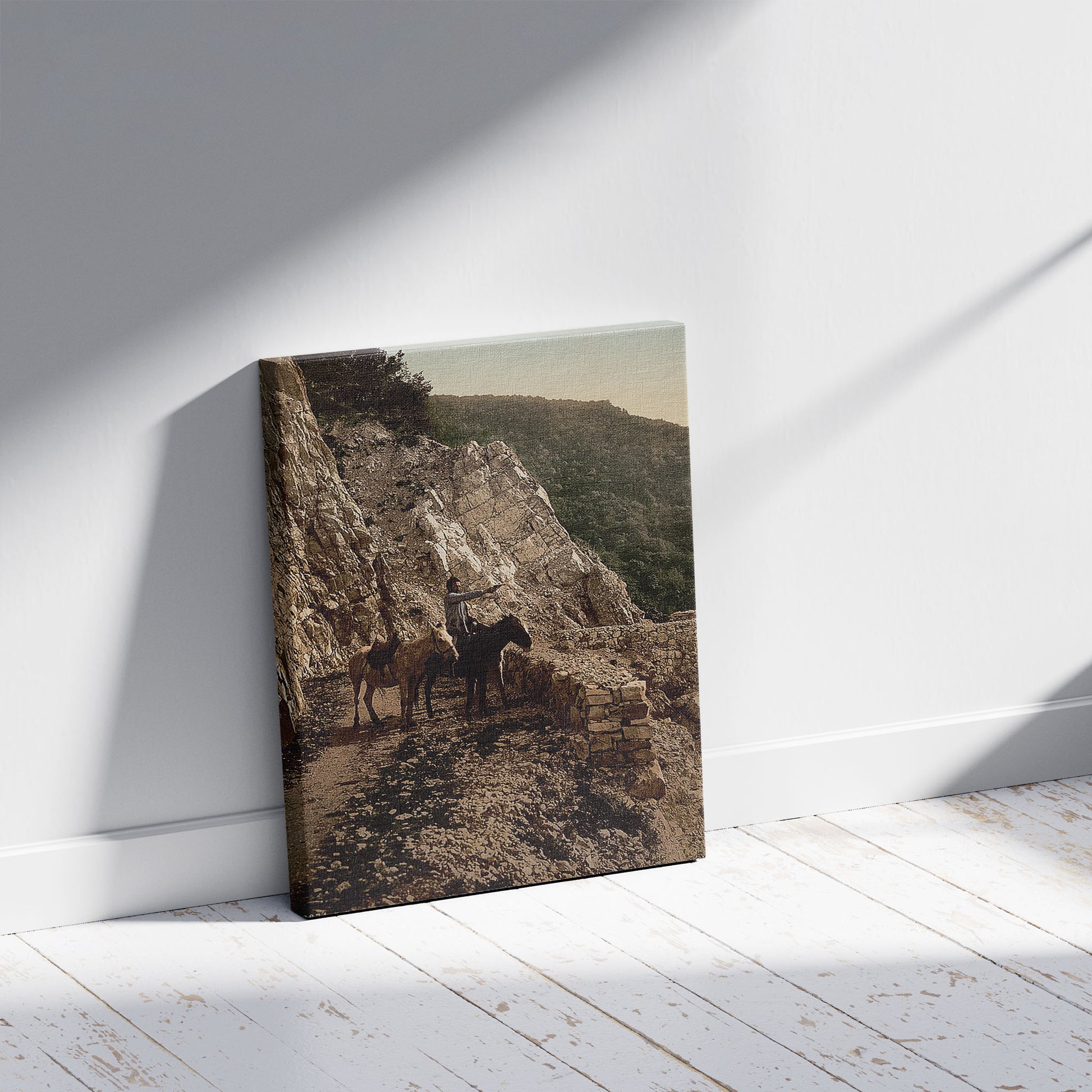 A picture of Near the Bagatski Bridge, Caucasus, Russia, a mockup of the print leaning against a wall