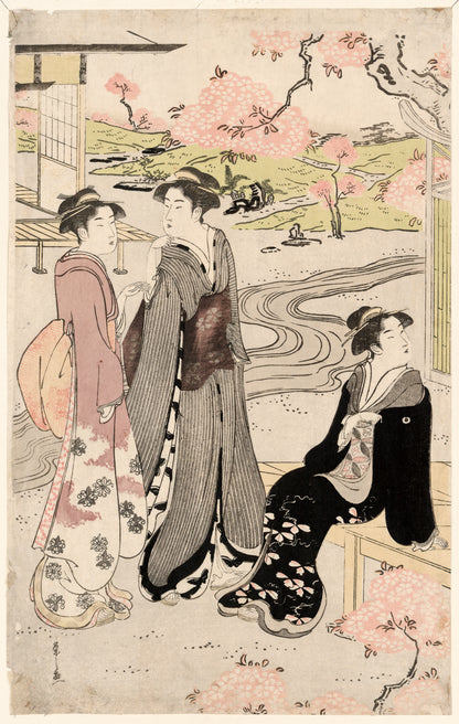 A picture of Niwa no hanami