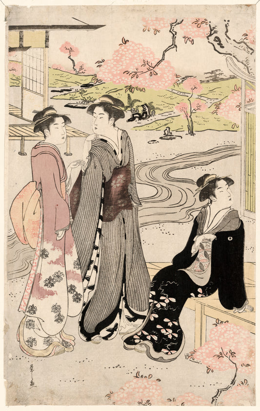 A picture of Niwa no hanami