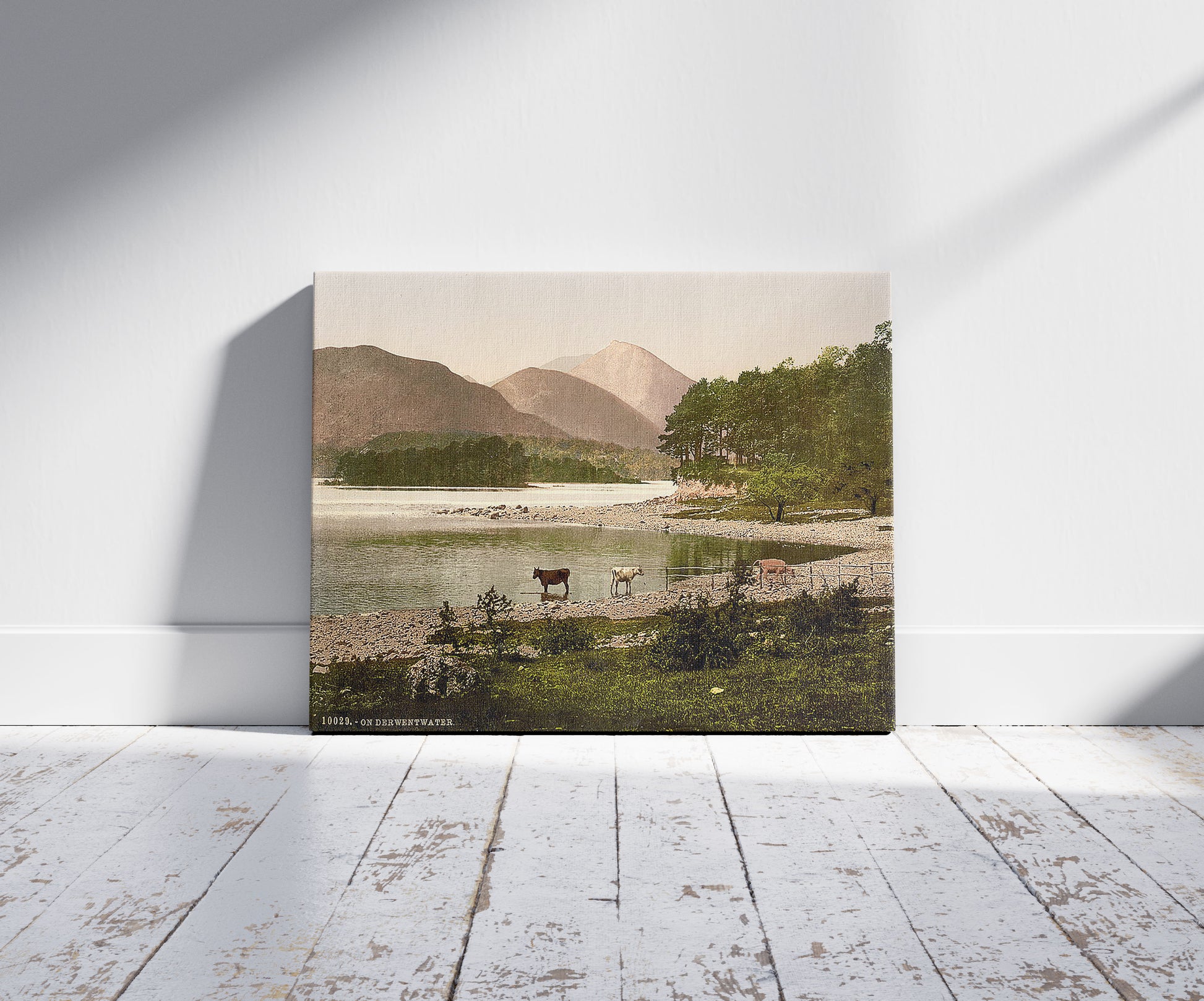 A picture of On Derwentwater, cattle study, Lake District, England, a mockup of the print leaning against a wall