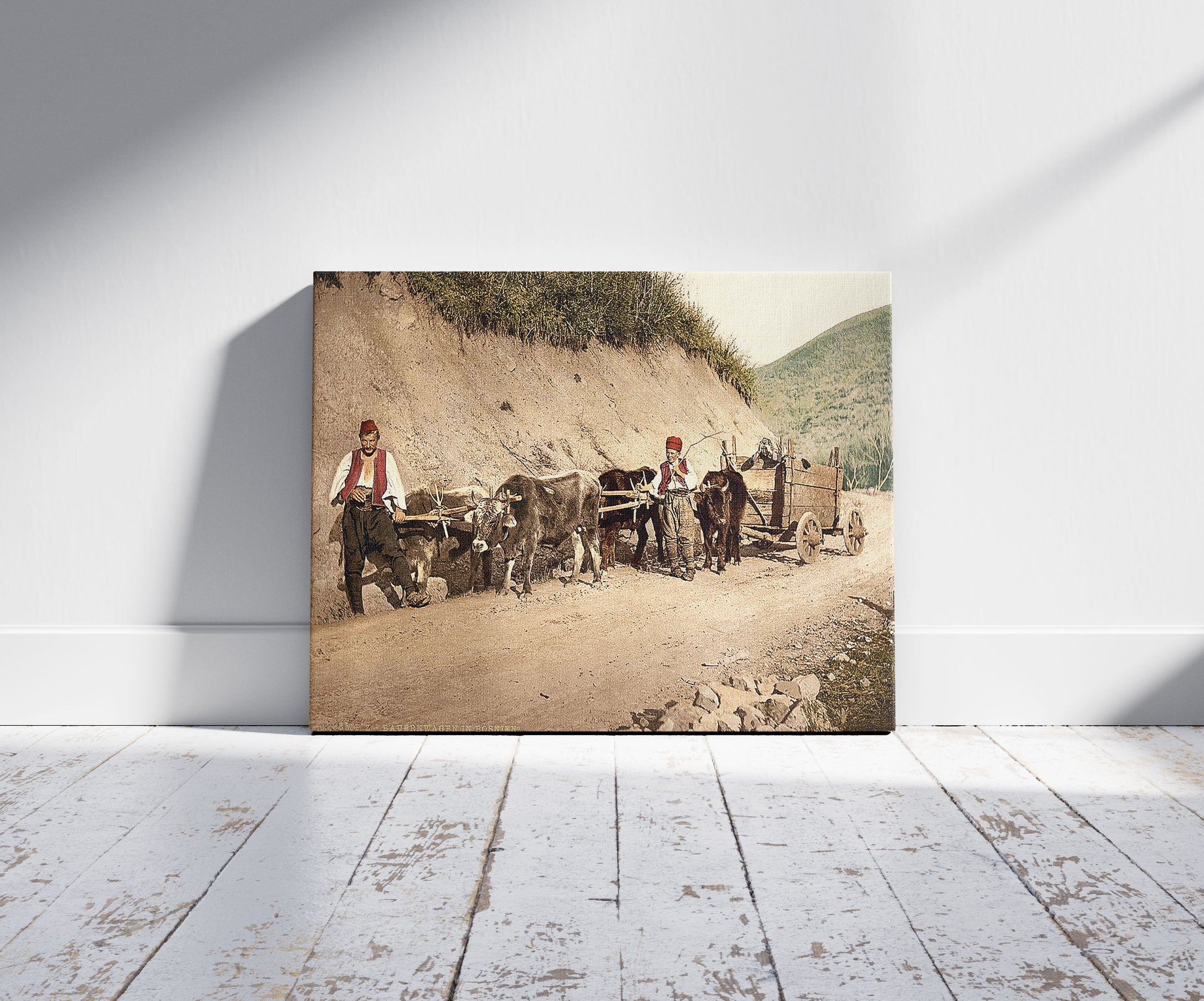 A picture of Peasant wagon, Bosnia, Austro-Hungary