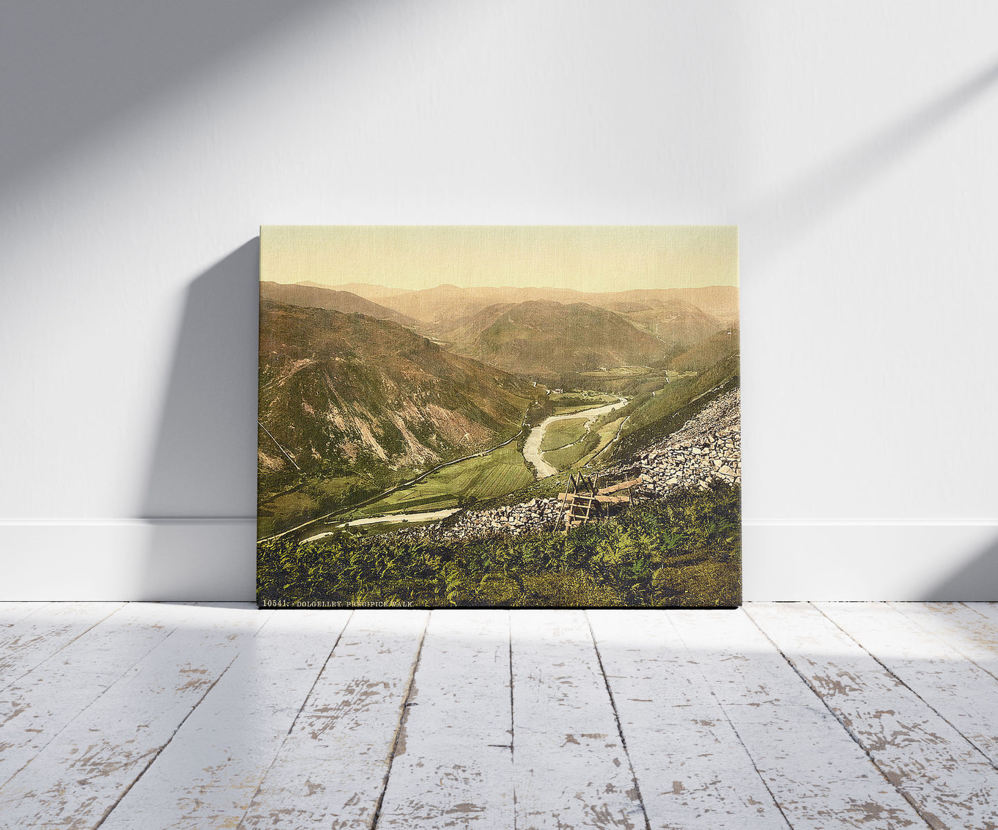 A picture of Precipice Walk, Dolgelly (i.e. Dolgellau), Wales