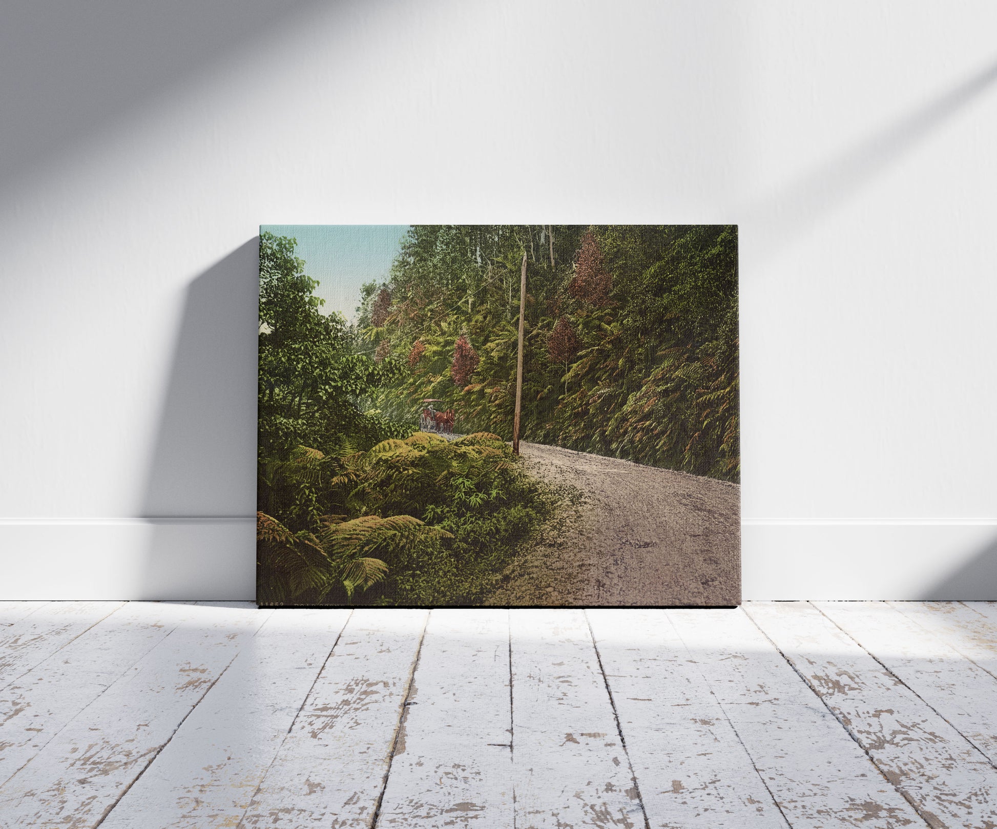 A picture of Road Scene, Cambewarra Mountains, N.S.W.