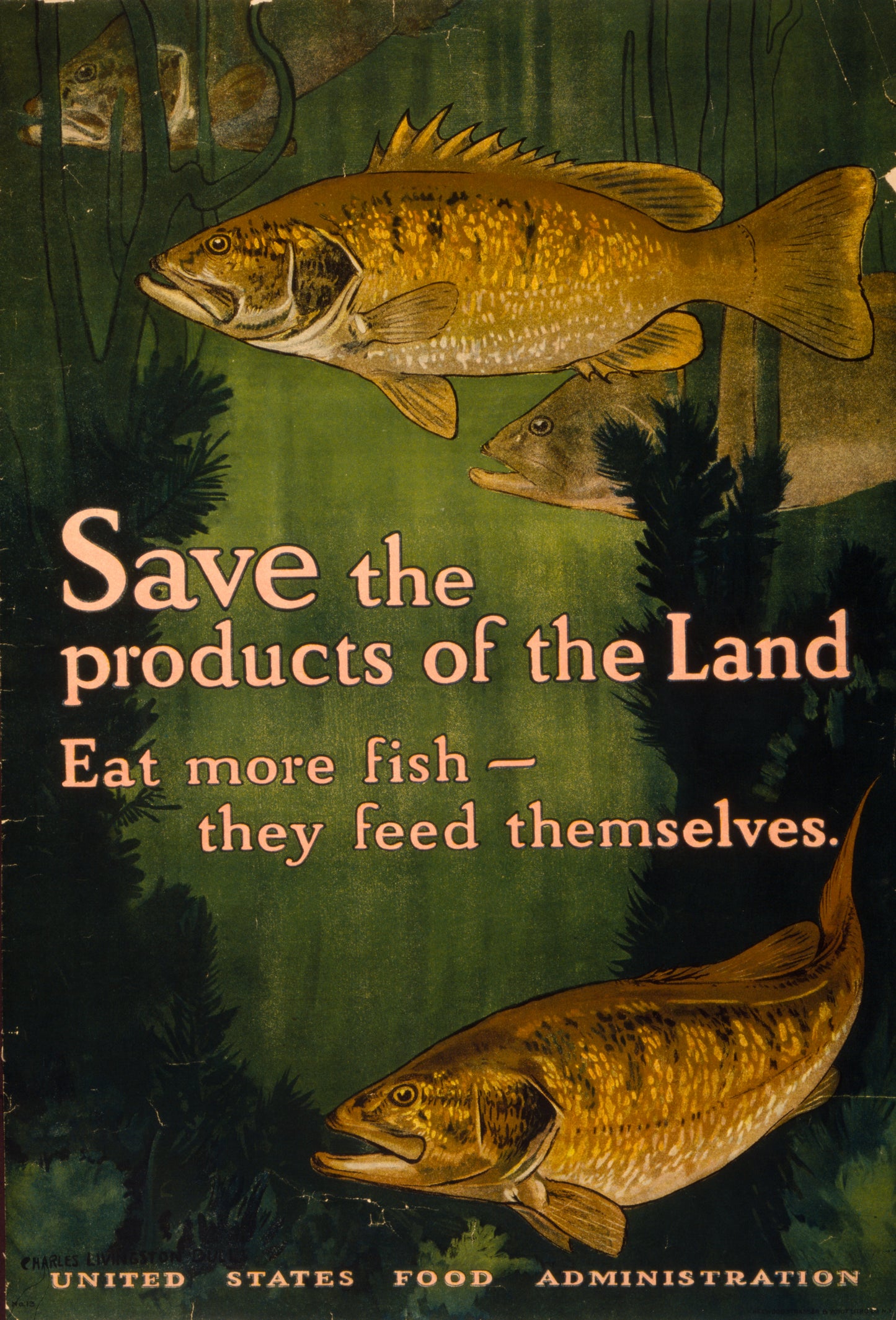 A picture of Save the products of the land--Eat more fish-they feed themselves United States Food Administration /