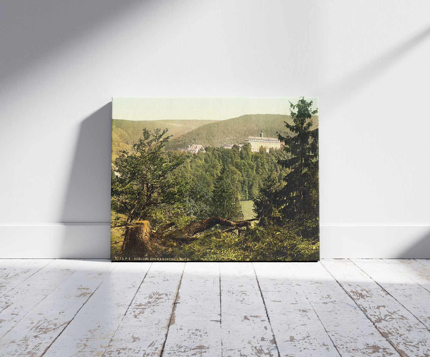 A picture of Schloss Schwarzburg, I., Thuringia, Germany, a mockup of the print leaning against a wall
