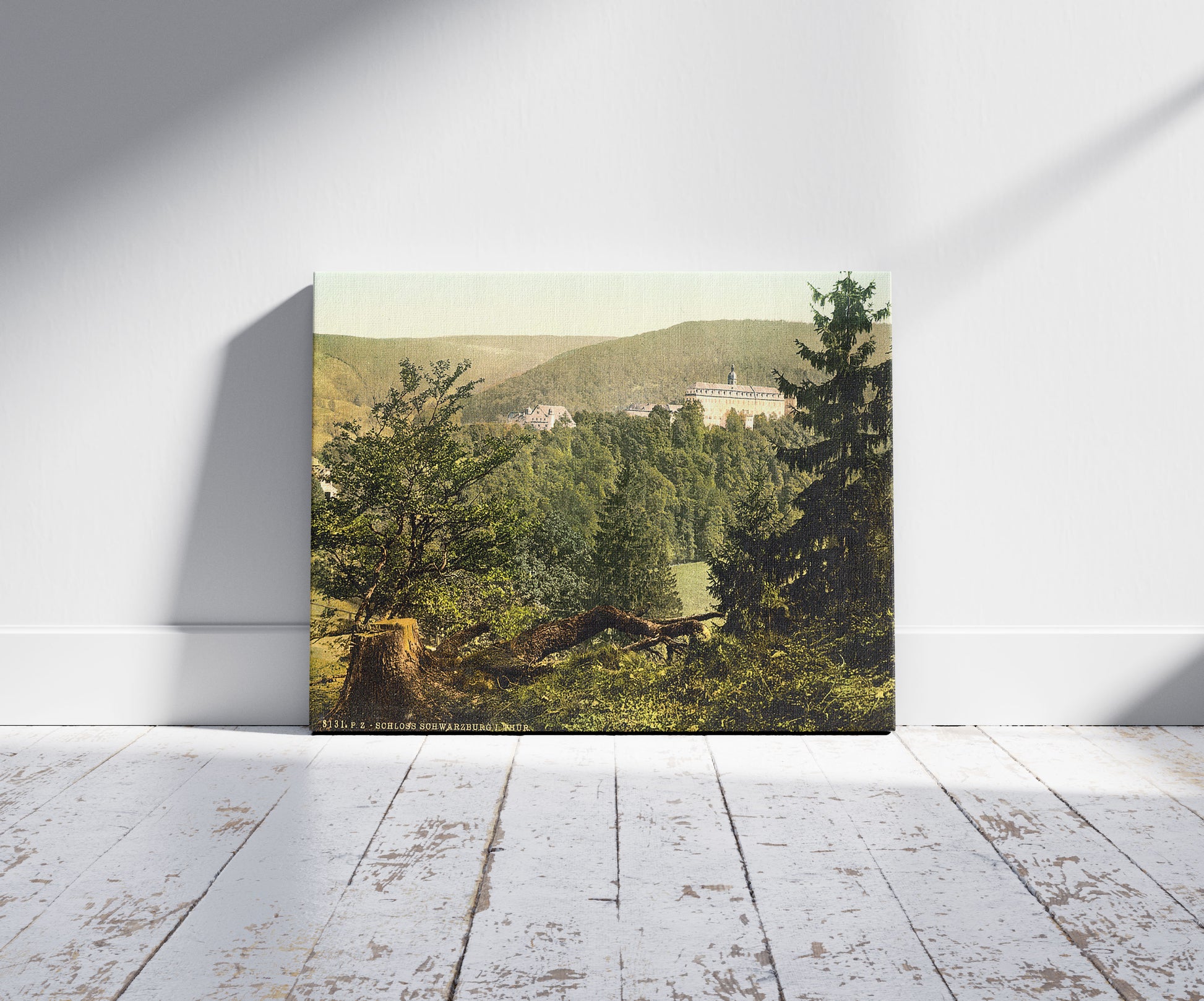 A picture of Schloss Schwarzburg, I., Thuringia, Germany, a mockup of the print leaning against a wall