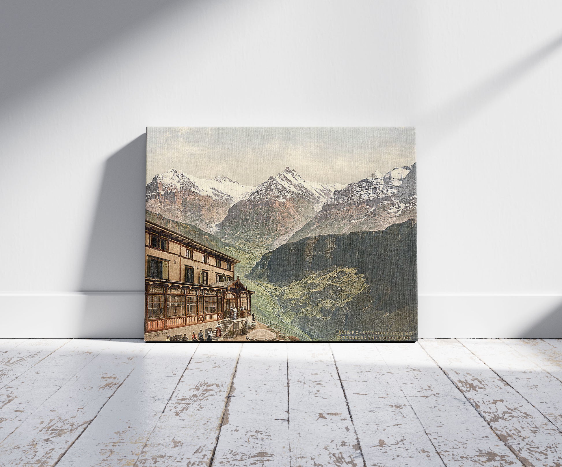 A picture of Schynige Platte, Wetterhorn and Schreckhorn, Bernese Oberland, Switzerland