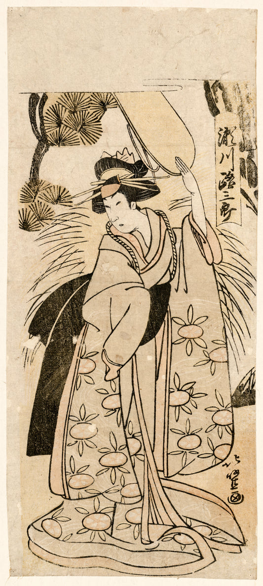 A picture of Segawa michisaburō