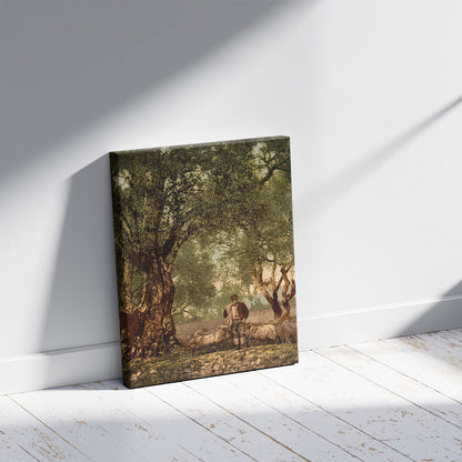 A picture of Shephard with flock in olive grove, Mentone, Riveria, a mockup of the print leaning against a wall