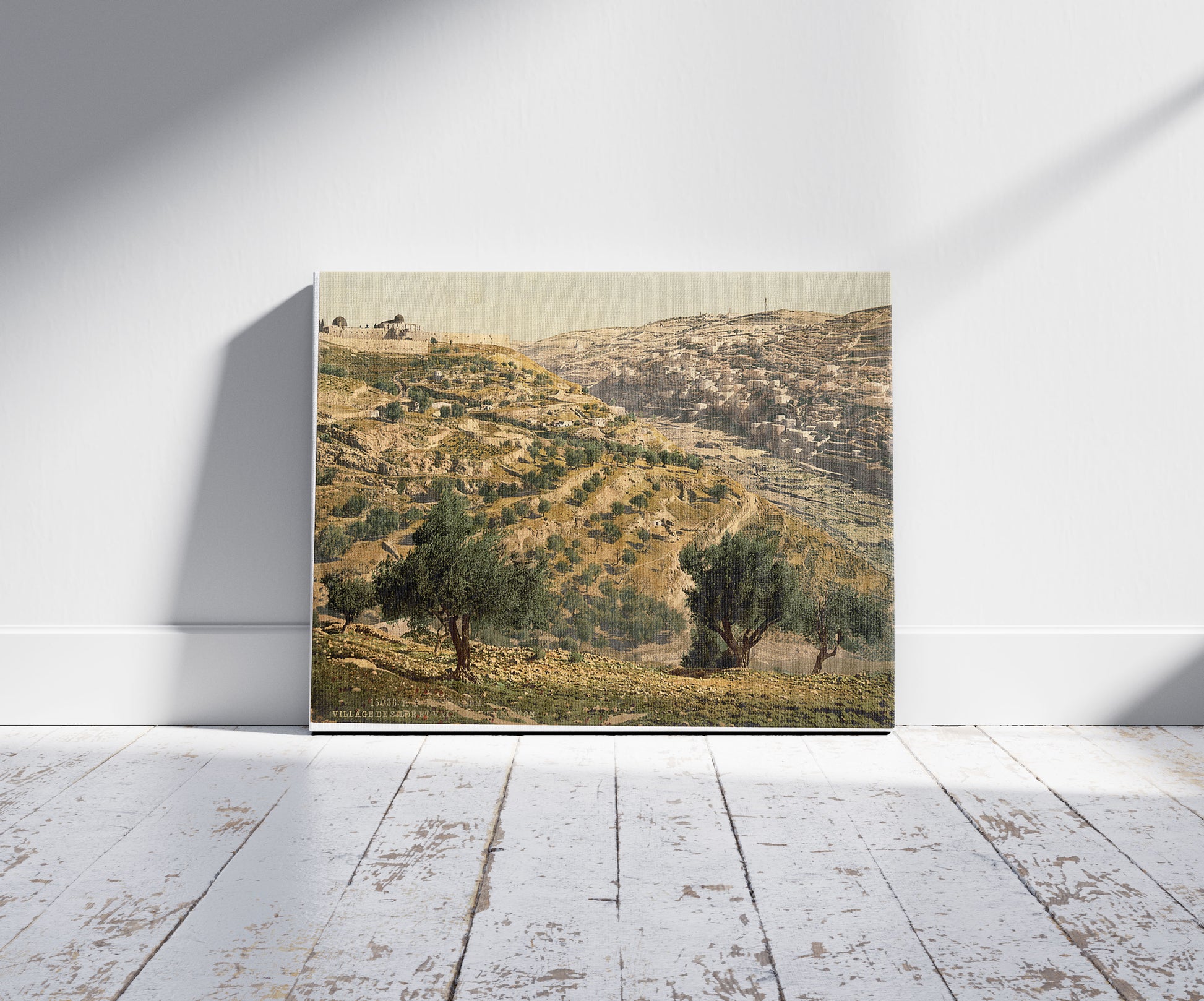 A picture of Siloam and the Tyrophean Valley, Jerusalem, Holy Land