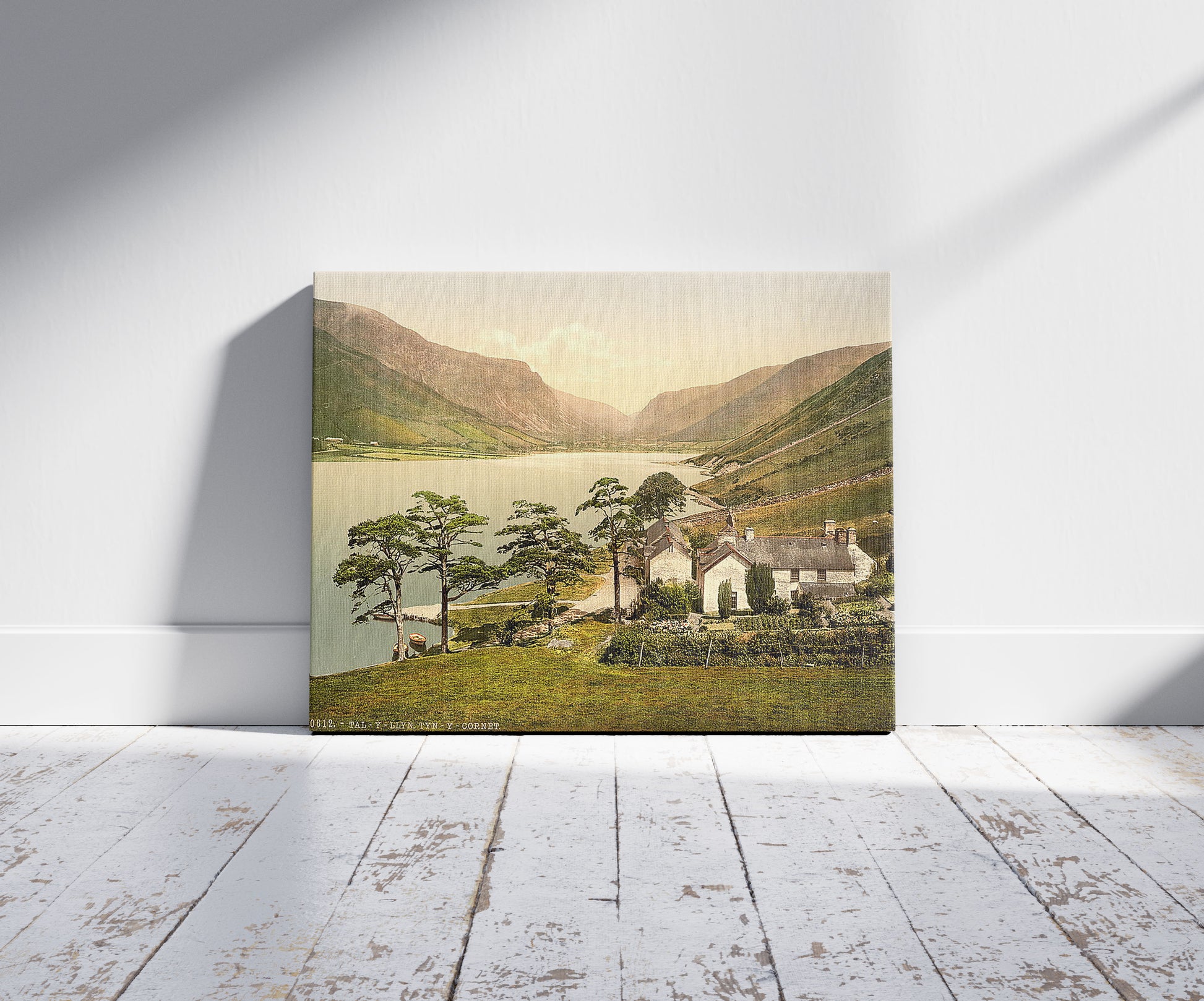 A picture of Tal-y-Llyn, Tyn-y-Cornet, Dolgelly (i.e. Dolgellau), Wales