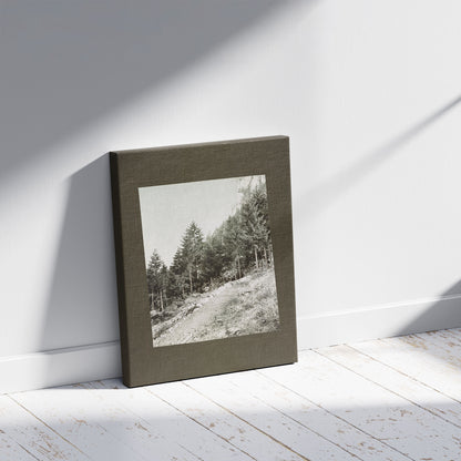 A picture of Tannenwaldlisière, a mockup of the print leaning against a wall