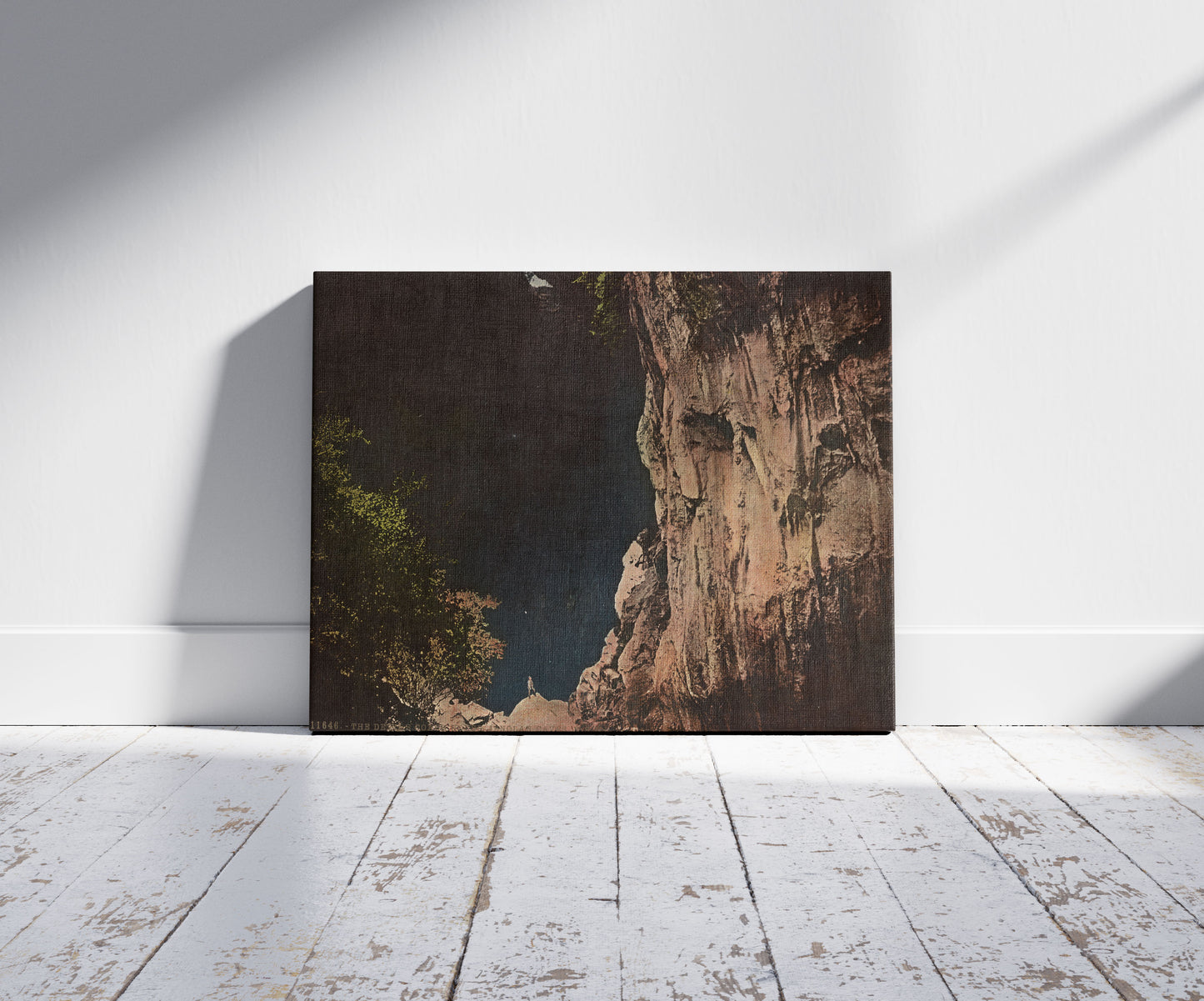 A picture of The Devils Coach House. Jenolan Caves, N.S.W.